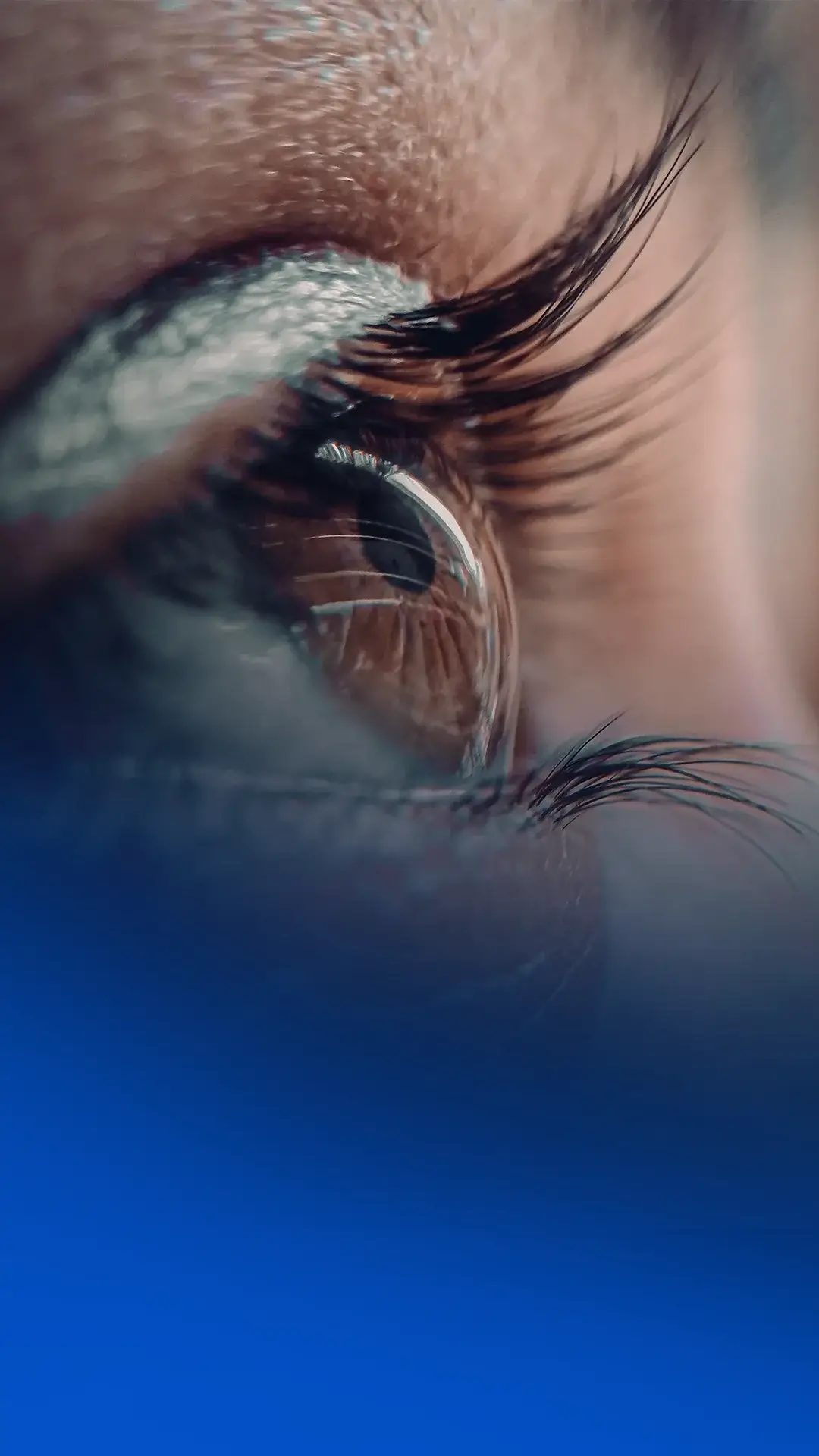 Imag Retina e vitreo uai