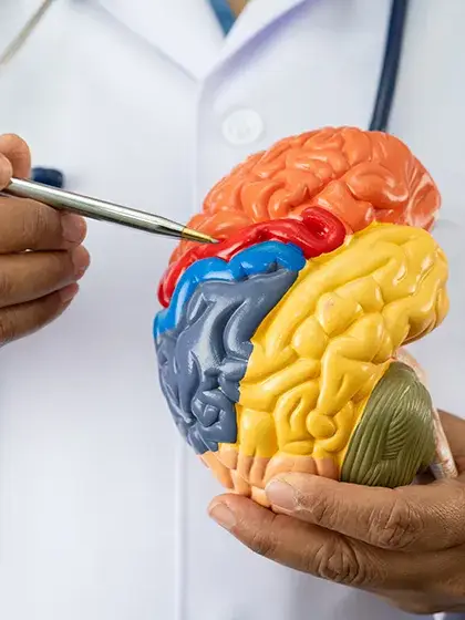 Acompanhamento Multidisciplinar uai